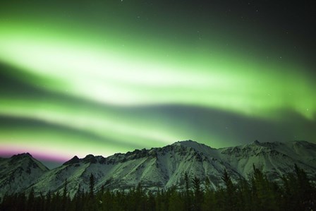 Bright Aurora Borealis over Annie Lake by Philip Hart/Stocktrek Images art print