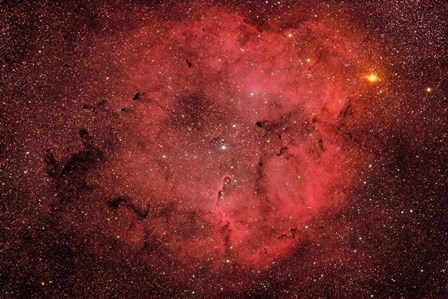 IC 1396 by Roberto Colombari/Stocktrek Images art print