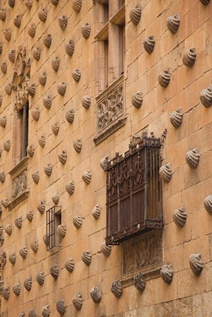 Casa de las Conchas, Salamanca, Spain by Walter Bibikow / Danita Delimont art print