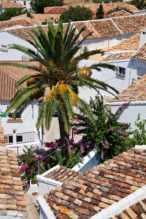 Spain, Andalusia, Zahara Rooftops in the Andalusian White Village by Julie Eggers / Danita Delimont art print