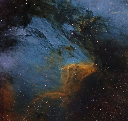 The Pelican Nebula, an H II region in the Constellation Cygnus by Michael Miller/Stocktrek Images art print