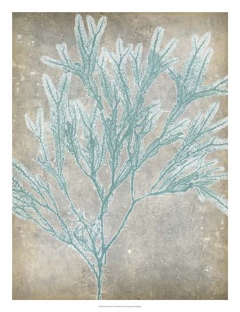 Spa Seaweed I by Jennifer Goldberger art print