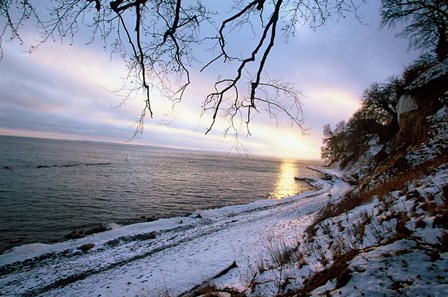 Snowy Coastline, Jasmund National Park by Christian Ziegler / Danita Delimont art print
