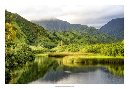 Coastal Marsh I by Danny Head art print