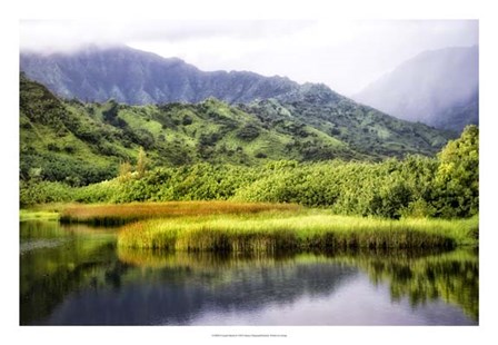 Coastal Marsh II by Danny Head art print