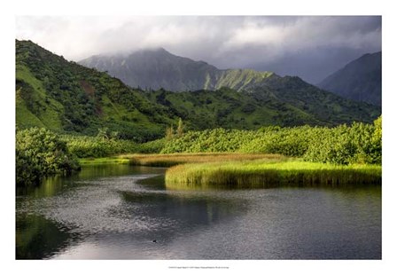 Coastal Marsh V by Danny Head art print