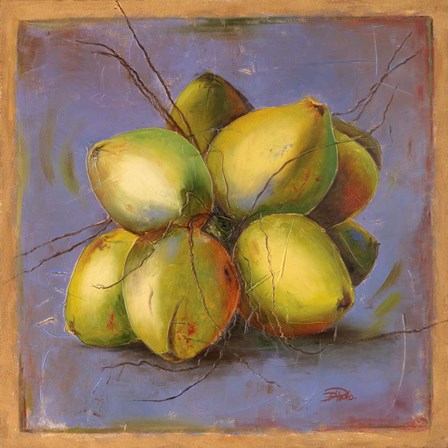 Cocos Locos IV by Patricia Pinto art print