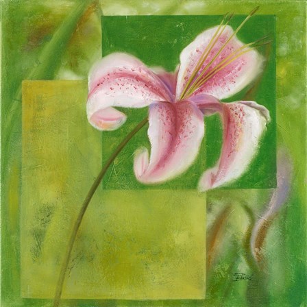 Cool Garden II by Patricia Pinto art print