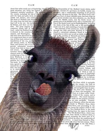 Silly Llama by Fab Funky art print