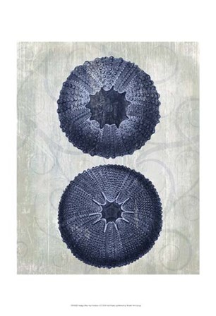 Indigo Blue Sea Urchins b by Fab Funky art print