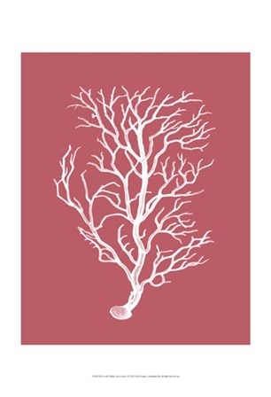 Corals White on Coral b by Fab Funky art print