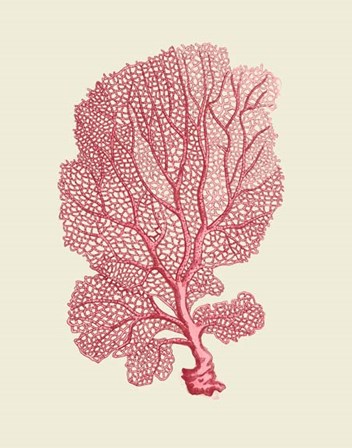 Corals Coral On Cream c by Fab Funky art print