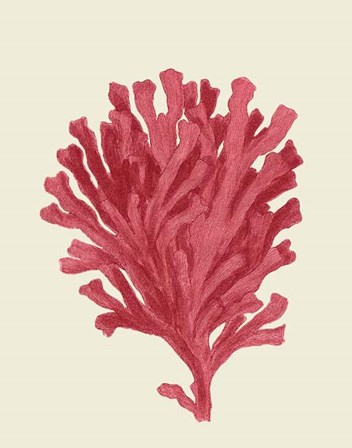 Corals Coral On Cream d by Fab Funky art print