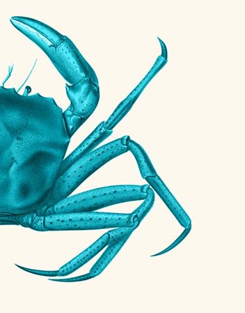 Contrasting Crab in Turquoise a by Fab Funky art print