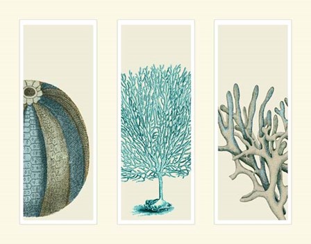 Blue Corals and Sea Urchins in 3 Panels by Fab Funky art print