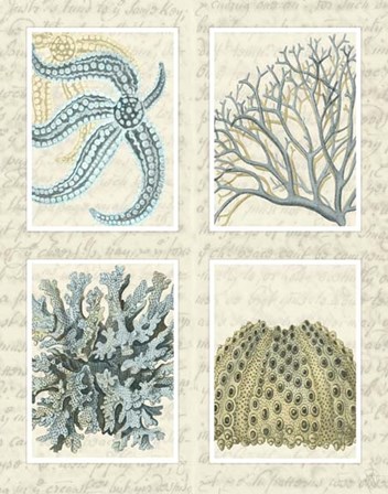 Blue Corals On Vintage Script in 4 Panels by Fab Funky art print