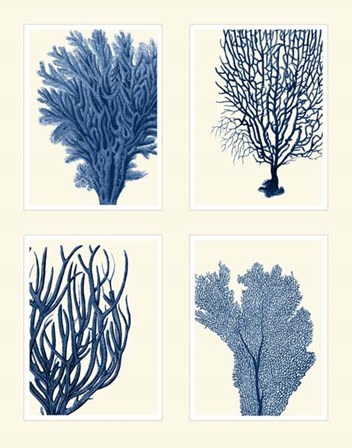 Blue Coral Print on 4 Panels by Fab Funky art print