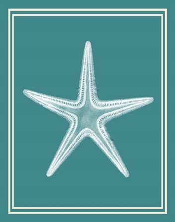 Mixed Nautical White on Teal a by Fab Funky art print