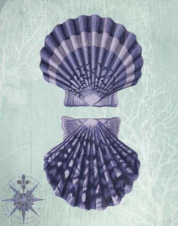 Seashell Collection 2 a by Fab Funky art print