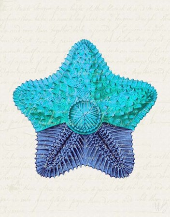 Starfish in Shades of Blue c by Fab Funky art print