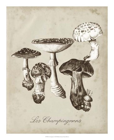 Les Champignons I by Naomi McCavitt art print