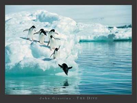 Dive by John Giustina art print