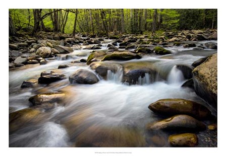 Spring on Porters Creek by Danny Head art print