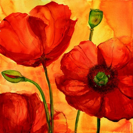 Coquelicots II by Giuseppina Tartagni art print