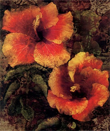 Hibiscus I by John Seba art print