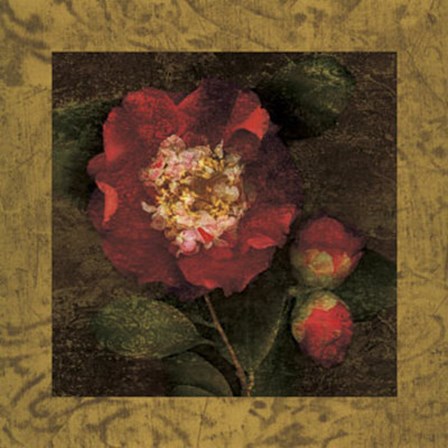 Red Camellias I by John Seba art print