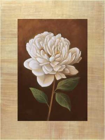 Fleur de Magnolia by Virginia Huntington art print