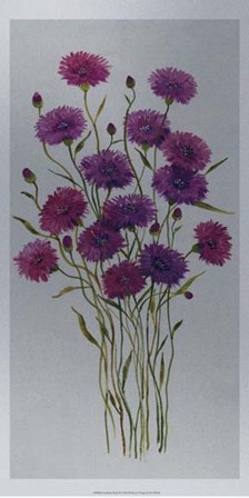 Cornflower Patch II by Timothy O&#39;Toole art print