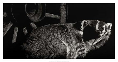 Scratchboard Tenacious by Julie Chapman art print