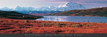 Anonymous - Denali National Park, Alaska Size 54.5x19 art print