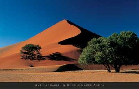 Dune in Namib, Africa art print