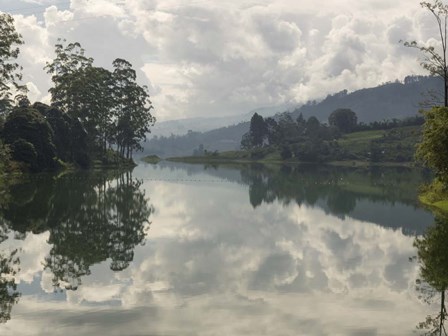 Castlereigh Reservoir at Hazy Morning, Nuwara Eliya, Central Province, Sri Lanka by Panoramic Images art print