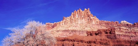 Rocks at Capitol Reef National Park, Utah by Panoramic Images art print