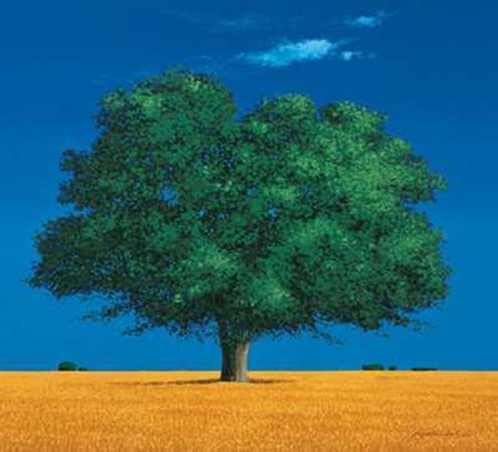 Albero Nei Campi by Gio Mondelli art print