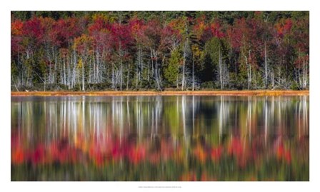 Autumn Reflections by Danny Head art print