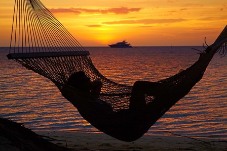 Beach hammock, Plantation Island, Malolo Lailai, Fiji by David Wall / Danita Delimont art print