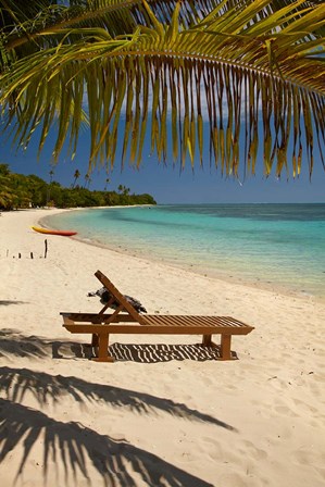 Beach, palm trees and lounger, Plantation Island Resort, Fiji by David Wall / Danita Delimont art print