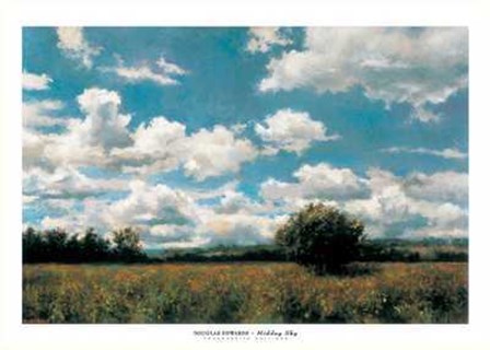 Douglas Edwards - Midday Sky Size 44.25x31.5 by Douglas Edwards art print