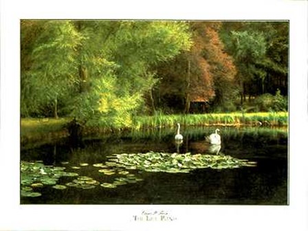 Lily Pond by E. Taylor art print