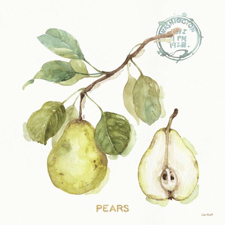 My Greenhouse Fruit I by Lisa Audit art print