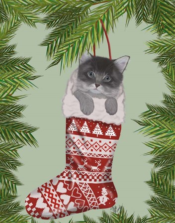 Grey Kitten in Christmas Stocking by Fab Funky art print