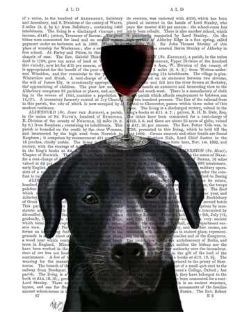 Dog Au Vin, Black Labrador by Fab Funky art print