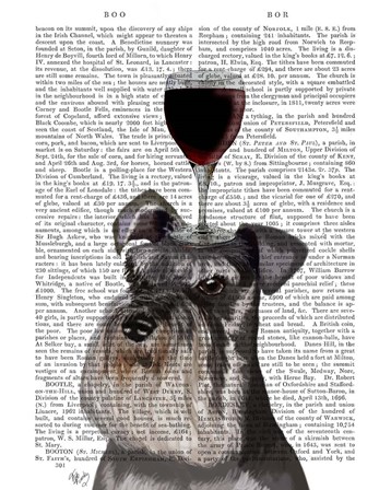 Dog Au Vin, Schnauzer by Fab Funky art print