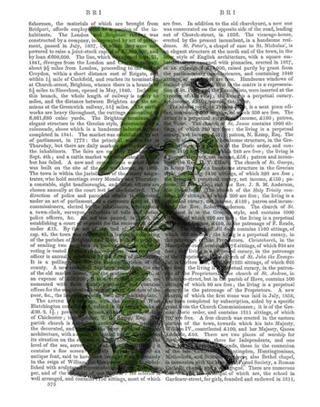 Hare with Green Ears by Fab Funky art print