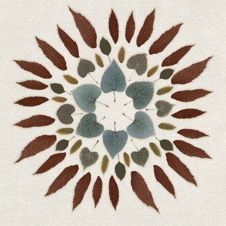 Leaf Pattern III by Edward Selkirk art print