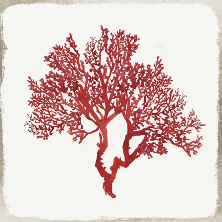 Red Coral II by Aimee Wilson art print